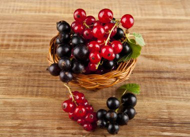 ahşap masa portre üzerinde kuş üzümü