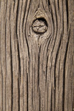  doku eski yönetim kurulu