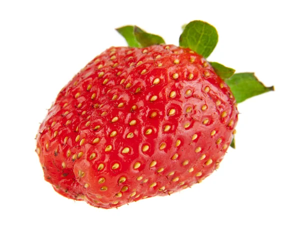 Červené, šťavnaté jahody — Stock fotografie