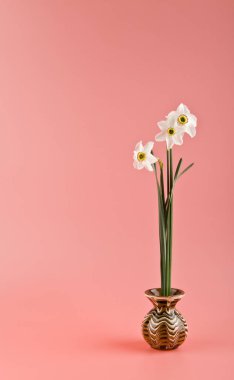 bahar çiçekleri nergis