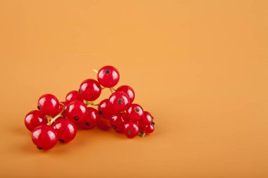 kahverengi zemin üzerine kırmızı kuş üzümü