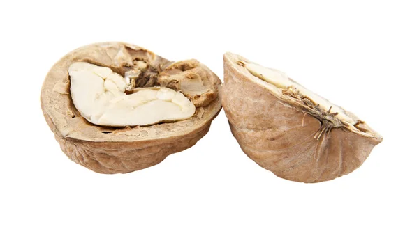 Nueces aisladas sobre fondo blanco — Foto de Stock