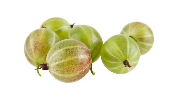 Gooseberry isolated on a white background — Stock Photo, Image