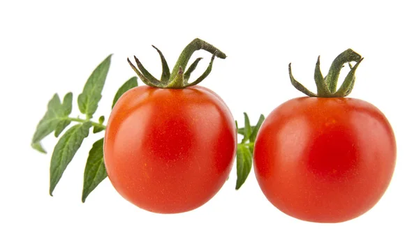 Tomatos isolated on a white background — Stock Photo, Image