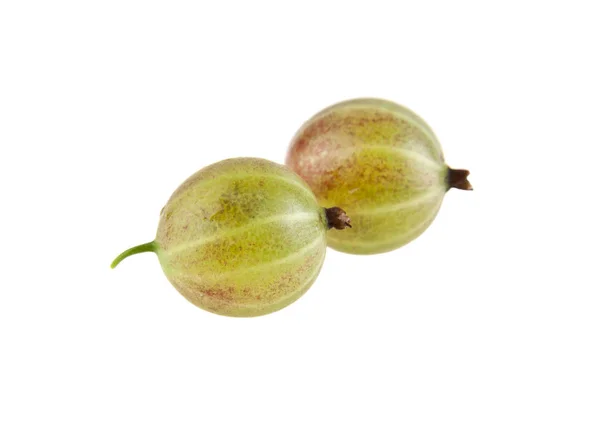 Gooseberry isolated on a white background — Stock Photo, Image