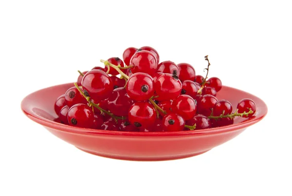 Red currant in a bowl — Stock Photo, Image