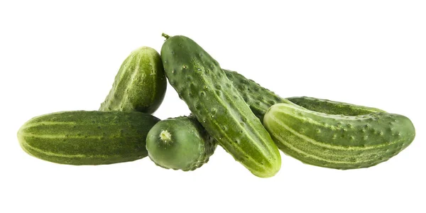 Cucumber isolated on a white background — Stock Photo, Image