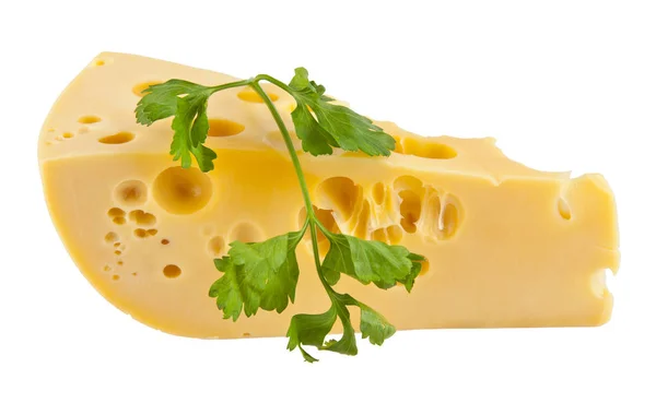 Cheese with holes and parsley — Stock Photo, Image