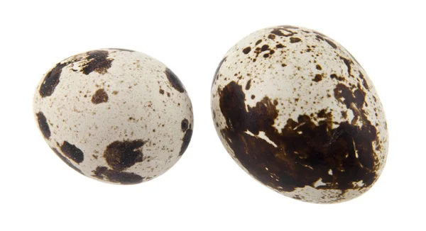 Перепелині яйця ізольовані на білому тлі — стокове фото