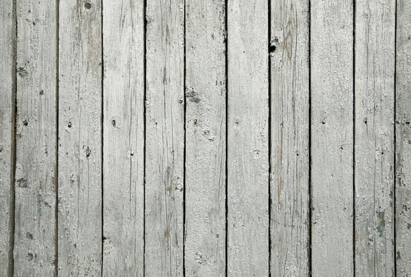 Textura de madeira cinza — Fotografia de Stock