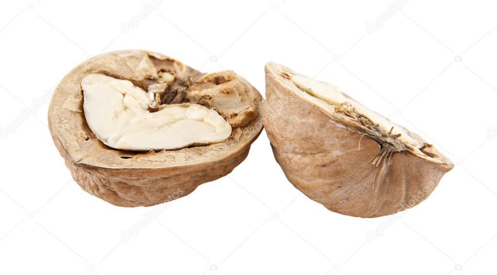 walnuts isolated on white background closeup