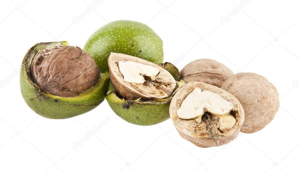 walnuts isolated on white background closeup