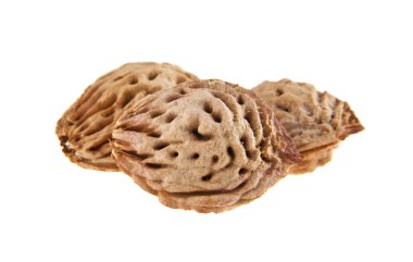 Beyaz arka plan üzerinde izole kemik şeftali