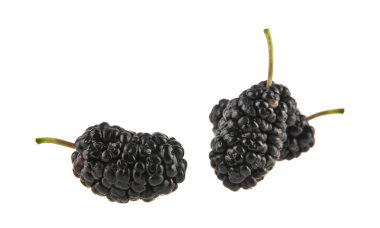 beyaz arkaplanda yalıtılmış dutlar