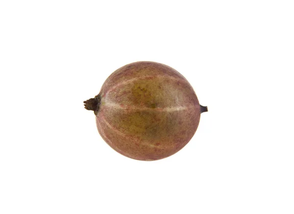 Gooseberry isolated on a white background — Stock Photo, Image
