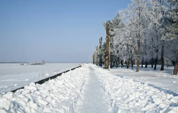 Snowy, frosty landscape, hoarfrost on trees — Stock Photo, Image