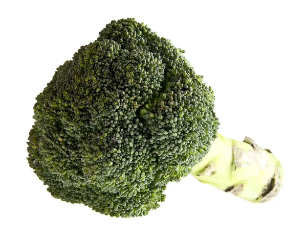 Broccoli freschi isolati su fondo bianco primo piano — Foto Stock