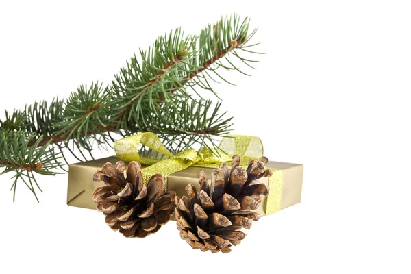 Ramo de árvore de Natal, cones e presente — Fotografia de Stock