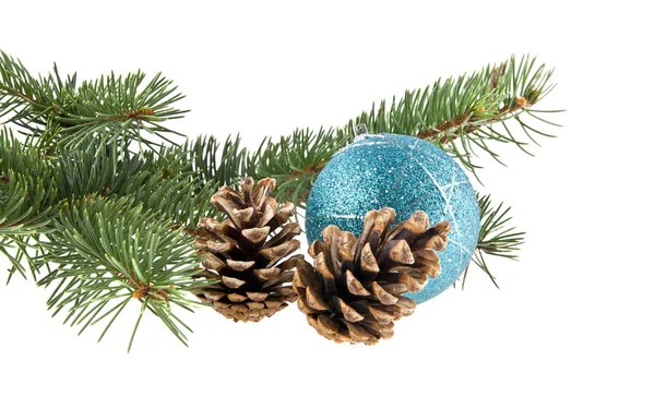 Gren av julgran, kottar och en boll Royaltyfria Stockbilder