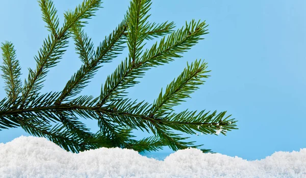 Rama del árbol de Navidad y la nieve blanca —  Fotos de Stock