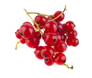 Beyaz arkaplanda kırmızı frenk üzümü