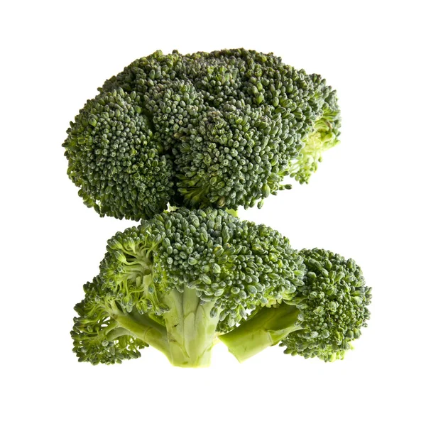 Färsk broccoli på vit bakgrund — Stockfoto