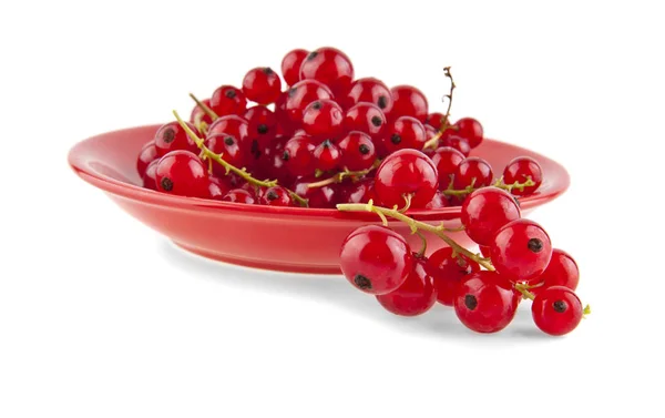 Red currant  on white background — Stock Photo, Image