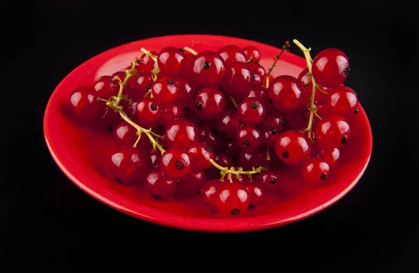 甘酸っぱい赤すぐりの果実 — ストック写真
