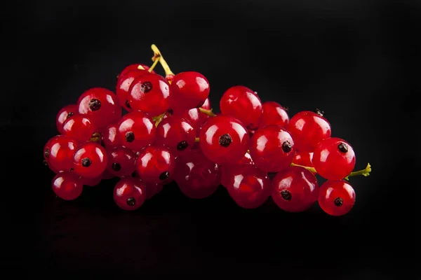 Merah currant berry — Stok Foto