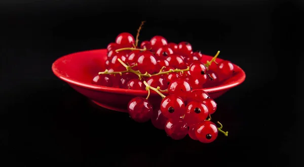 Merah currant berry — Stok Foto