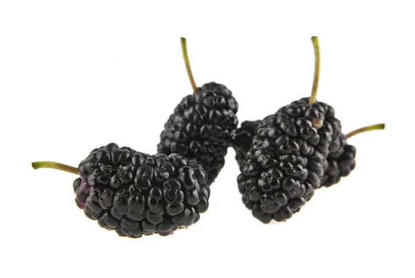 Mulberry on white background — Stock Photo, Image
