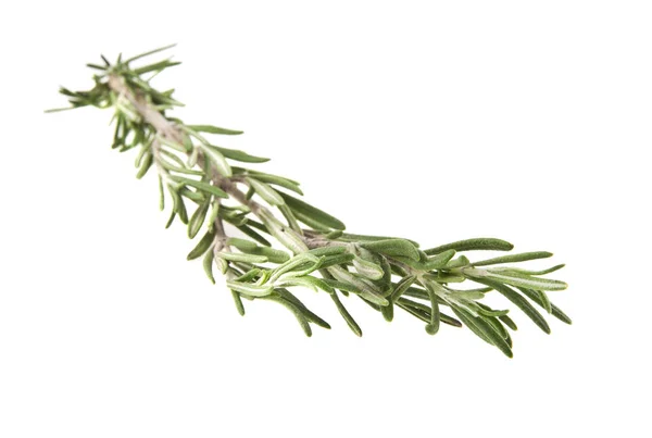 Rosemary on white background — Stok fotoğraf