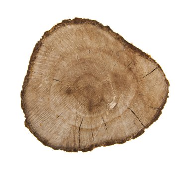 Beyaz zemin üzerinde tahta tahta tahta 