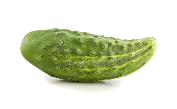 Cucumber on white background — Stock Photo, Image