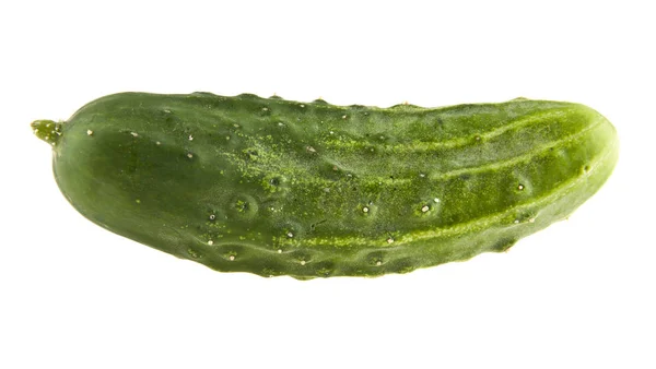 Komkommer op witte achtergrond — Stockfoto