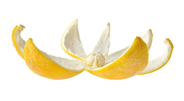Piel naranja sobre fondo blanco — Foto de Stock