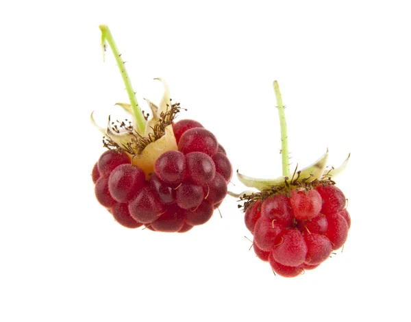 Himbeeren auf weißem Hintergrund — Stockfoto