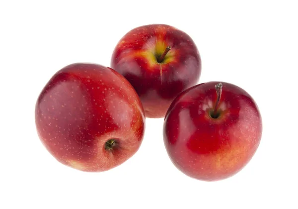 Красные яблоки на белом фоне — стоковое фото