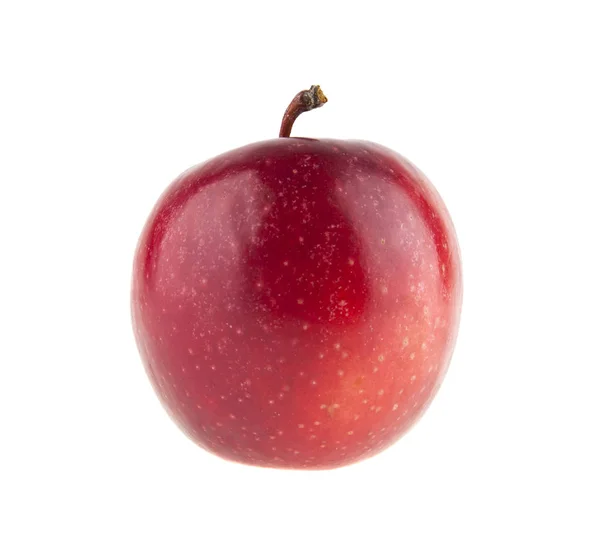 Vörös alma fehér háttér — Stock Fotó