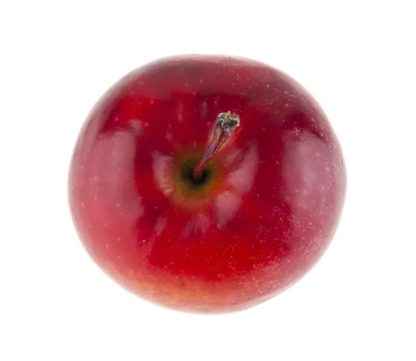흰 배경에 있는 빨간 사과 — 스톡 사진