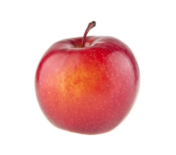 Красные яблоки на белом фоне — стоковое фото