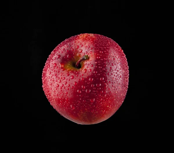 Red apple in drops of water — Stock Photo, Image