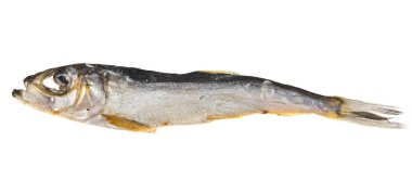 Beyaz arka planda füme balık 