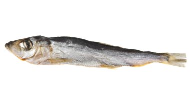 Beyaz arka planda füme balık 