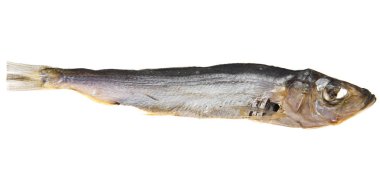 Beyaz arka planda füme balık 