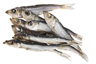 Beyaz arka planda füme balık 