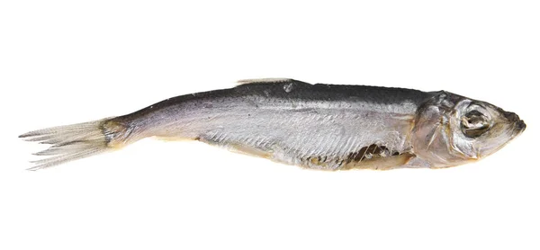 Rökt fisk på vit bakgrund — Stockfoto