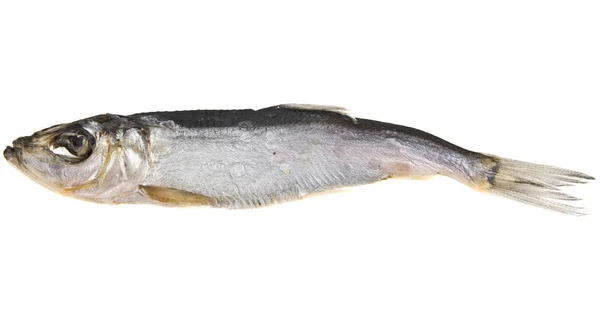 하얀 배경에 있는 연기나는 물고기 — 스톡 사진