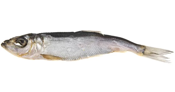 Rökt fisk på vit bakgrund — Stockfoto