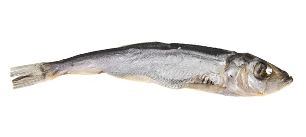 Копченая рыба на белом фоне — стоковое фото